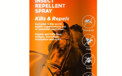 Fly Strike Solutions – Life in the Bush: Protecting Horses from Harsh Environments