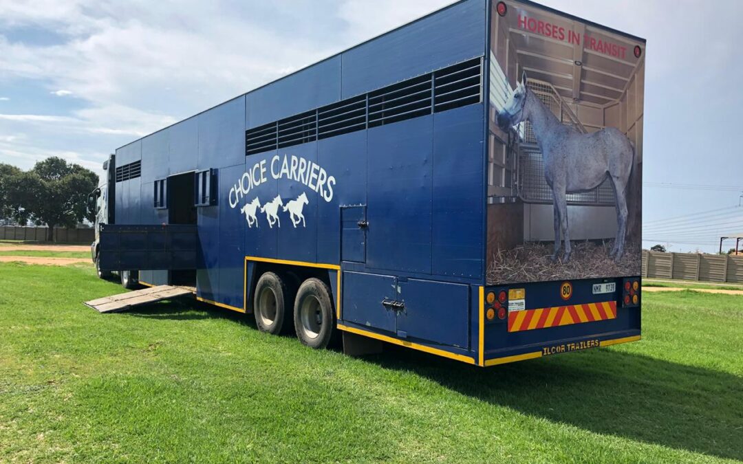 Horse Transport