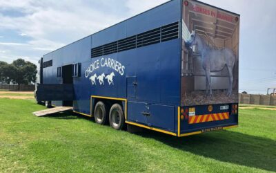 Horse Transport