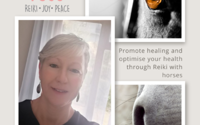 Horses and Reiki
