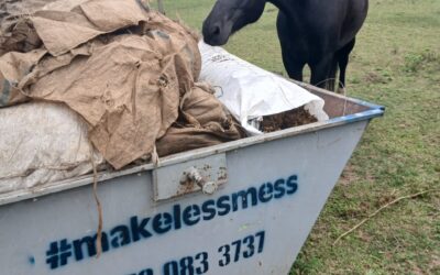 Say Neigh to Waste – Skip Hire